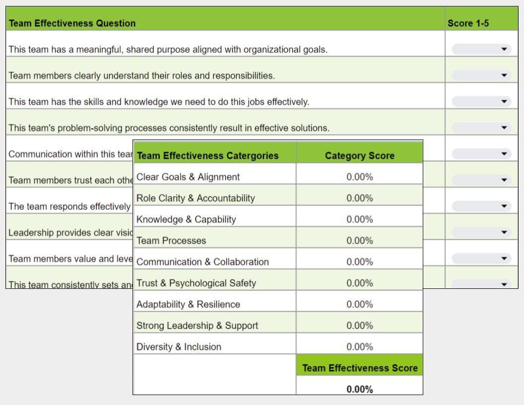 Team Effectiveness Diagnostic (3)